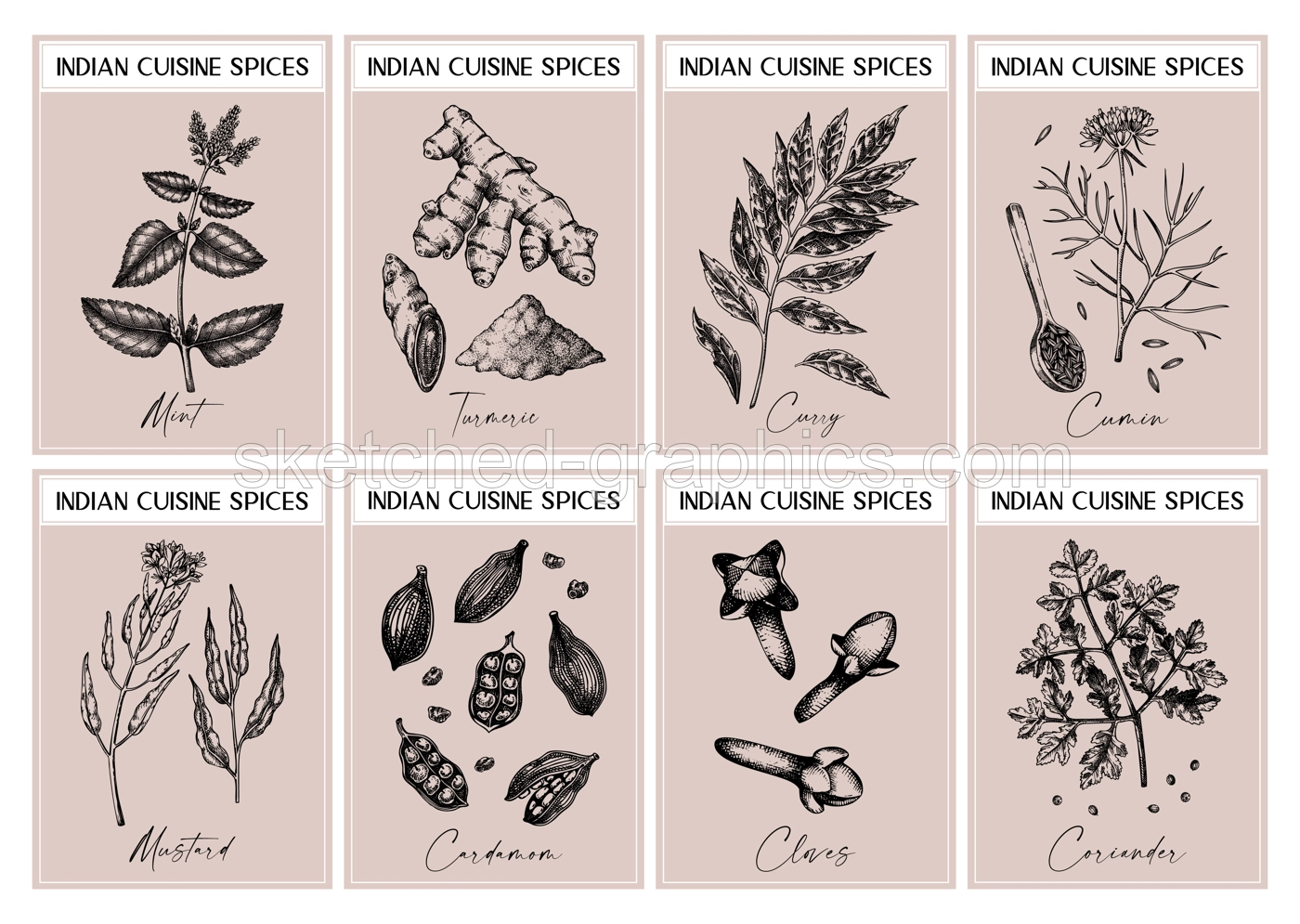 Indian spice labels set. Curry, cumin, mustard, turmeric, coriander, cloves sketches. Herbs and spices hand-drawn vectot illustration. Vintage print design. NOT AI generated Illustration
